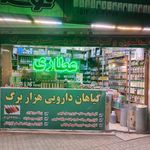 گیاهان دارویی هزار برگ