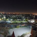 زمین اسکیت