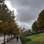 پارک اندیشه