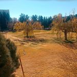 خوابگاه دانشجویی ساریگل