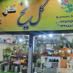 گل یخ