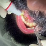 دندانپزشکی دکتر المیرا پویان فر