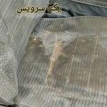 قالیشویی مبلشویی درتربت جام