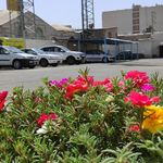 کارواش بزرگ مایسا