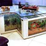 نصب و ساخت آکواریوم