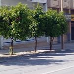 فروشگاه موکت و تزیینات هاشمی