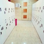 مجموعه ورزشی نیوتون 