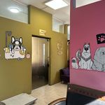 کلینیک اختصاصی حیوانات و پت‌شاپ مهر