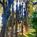 بوستان مروارید