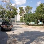 بوستان مروارید
