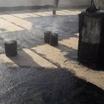 علی اصغر فرج الهی