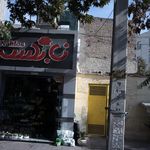 گل نابلس