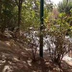 آموزشگاه نقاشی رز آبی