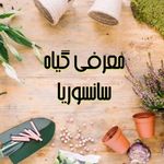 گل فروشی بنیس گل