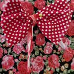 سرویس اشپزخانه اورهان