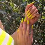 عروس سرای تاج