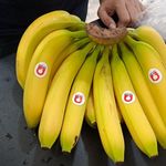 میوه فروشی