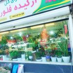 گلفروشی ارکیده فلورا