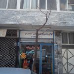 لوازم یدکی پراید و پیکان بامداد