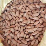 محصولات خانگی فلاح گردو بادام حلوا ارده