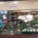 گل سمیرا