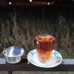 حلیم نجیب