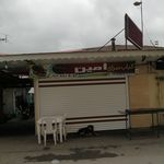 حلیم نجیب