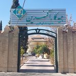 بیمه دی