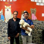 آرایشگاه حیوانات خانگی ادریس پت گرومینگ