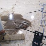 شرکت خدمات نظافتی آدلی درخشان پاسارگاد