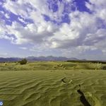 کویر چوپانان