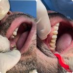 مطب دندانپزشکی (دکتر محمد محمدیان)