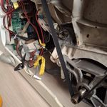 مجید رافعی کورایم