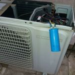 پوریا محمدزکی