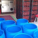 سوپر مواد غذایی خاطره