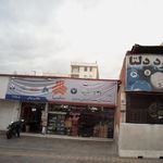 اسپرت توکلی