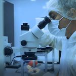 سکتور ریکاوری