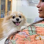 درمانگاه دامپزشکی های پت