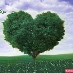 مرکز درمانی منادیان راه زندگی