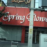 گل اسپرینگ، گل بهاری