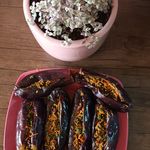 ترش ومربا نادی