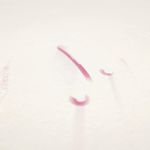 کافه قنادی اِدی