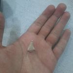 مرکز گوش و شنوایی غرب تهران