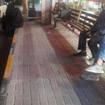 ایستگاه اتوبوس شهید کلاهدوز 52