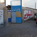 قالیشویی شقایق