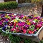 باغ رستوران پارادایس