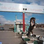 شهربازی پارک ملت