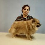اصلاح و آرایش حیوانات خانگی میرزایی