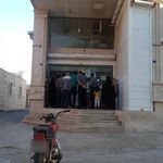 نانوایی ترکی گندم طلا