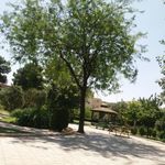سرویس بهداشتی بوستان نسترن